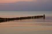 1 Angler im Wasser